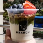 PARFAIT MIXTO