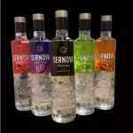 Sernova