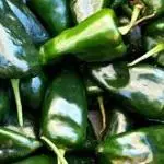 Chile Poblano