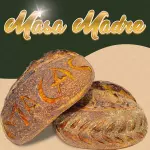 MASA MADRE