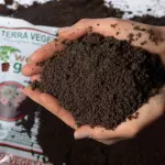TERRA VEGETAL 2KG