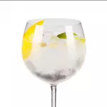 Gin Tônica
