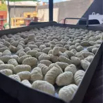 Ñoquis artesanales