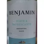 VINHO ARGENTINO BENJAMIN BRANCO
