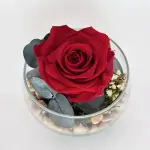Rojo silvestre