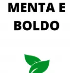 Menta e Boldo