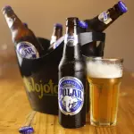 Polar 330 Ml