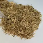 UNHA DE GATO