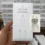 Clave: PACL PLUG IN IP 14