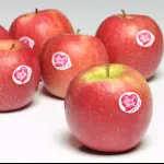 Manzana Pink Lady