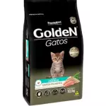 GOLDEN GATOS FILHOTES