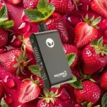 Strawberry Mint 33