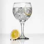 x2 Gin Tonic