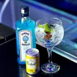 GIN TONIC Bombay Sapphire