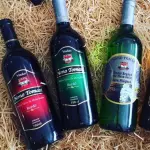 Vinho Nono Tomasi - Bordô
