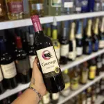 GATO NEGRO PINOT NOIR 750ML
