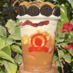 Mini fresas oreo y arequipe 14 onz