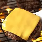 MTEX - HAMBURGUER E QUEIJO