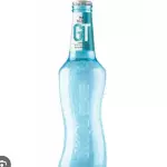Skol GT