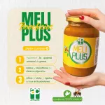 MeliPlus