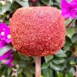 Manzana clásica