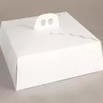 Caja transportadora 38x38x14cm
