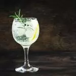 GIN TONIC