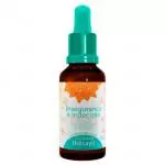 Floral Thérapi Insegurança e Indecisão 30ml