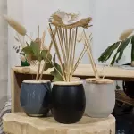 DIFUSOR MOON COLORS con esencia