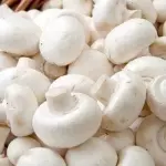 Champiñon Blanco bandeja de kilo