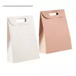 Bolsa cartera papel RG462
