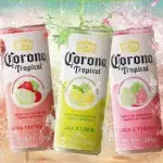 Corona Tropical