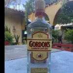 GINEBRA GORDON´S (TRAGO)