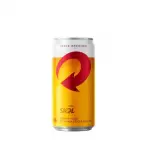 Skol - 269ml