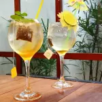 Chá Frizzante 600ml