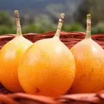 Granadilla tradicional x libra