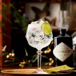 GIN-TONIC