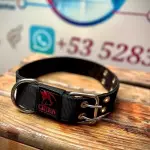Collar 3.8