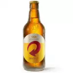 Skol Pilsen Chopinho 300ML