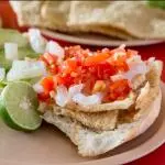 GUACAMAYA CON CUERITOS