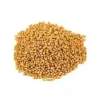 Mostarda Amarela Grão 100g