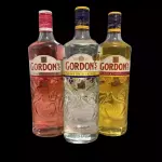 Gordon's