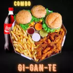 Combo GI-GAN-TE