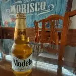 MODELO ESPECIAL