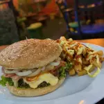 Hamburguesa especial carne o pollo