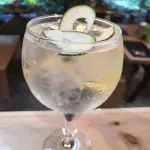 GIN TONIC