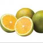 Laranja Lima (und)