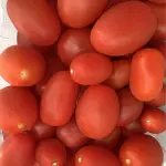 Tomate cereja Guape