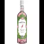 Macaw Tropical