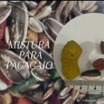 MISTURA PARA PAPAGAIO 1KILO